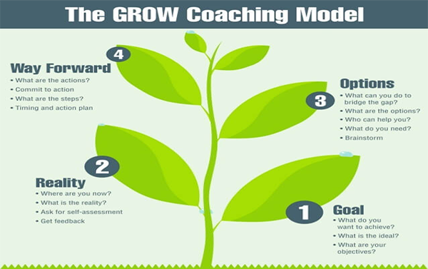 Mô hình quản lý nhân sự Grow, Mô hình huấn luyện Grow