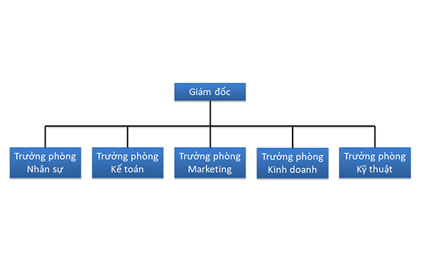 Mô hình quản lý theo chức năng