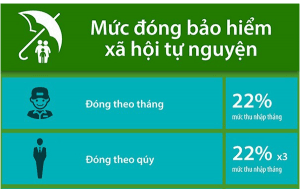 Đóng tiếp BHXH tự nguyện để hưởng lương hưu mức 75%