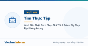 Tìm Thực Tập: Kênh Nào Thật, Cách Chọn Nơi Tốt & Tránh Bẫy Thực Tập Không Lương